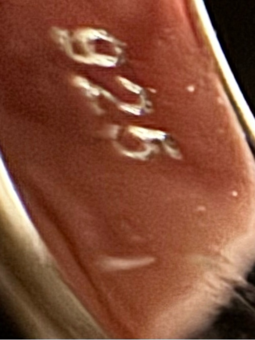 Elegant Yin Yang Black onyx & White‎ mother of pearl Ring worn by man or woman - Picture 5 of 6